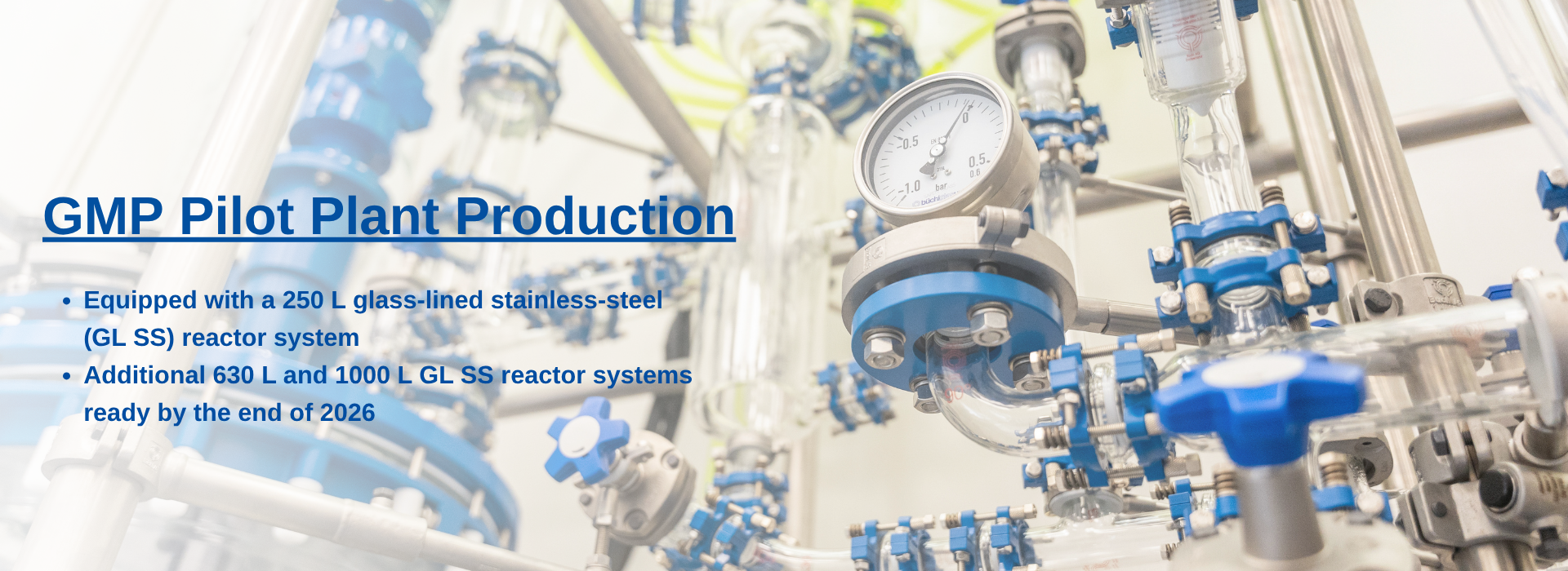 GMP Pilot Plant Production